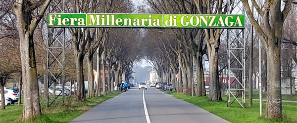 Carpitaly 2024 - Fieramillenaria Gonzaga